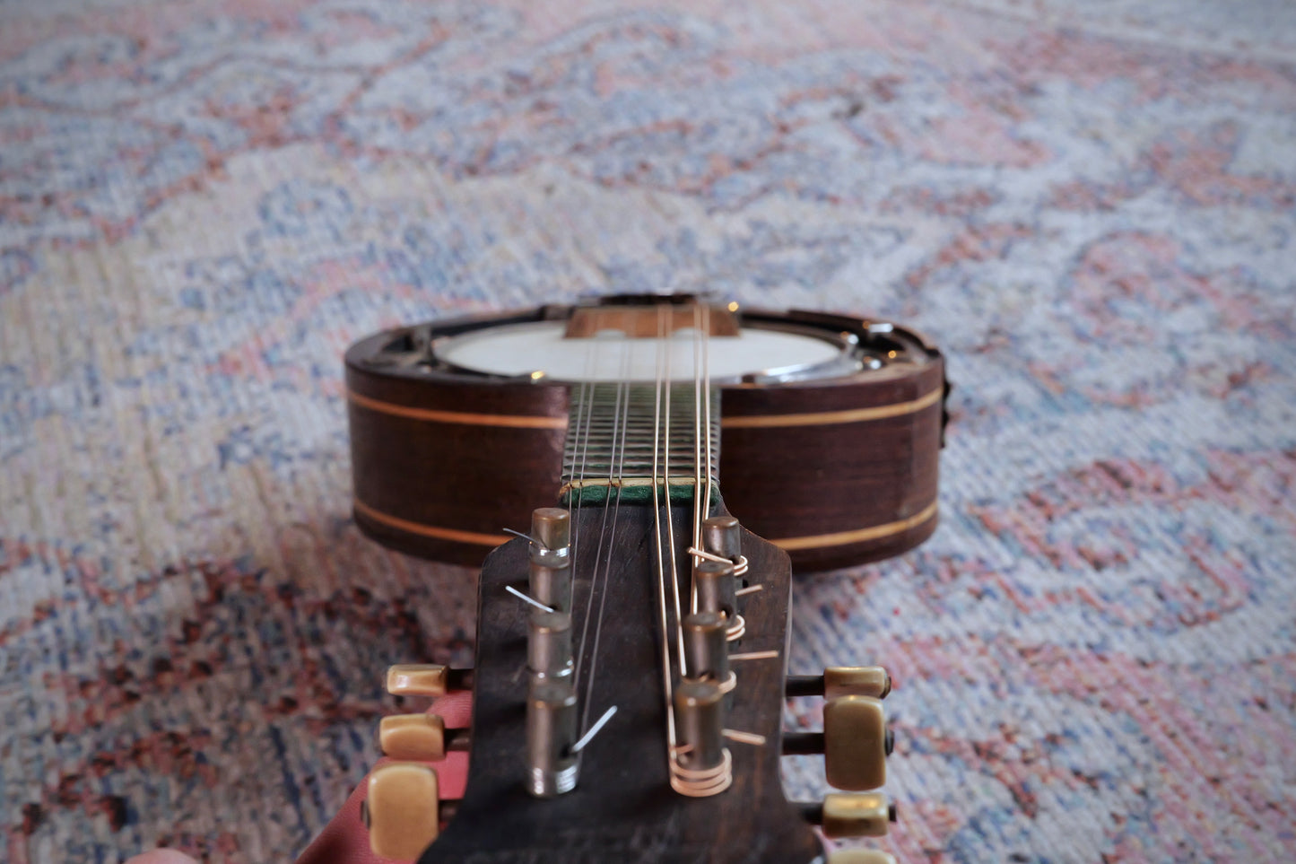 John Grey Vintage 8-string Mandolin-Banjo (Banjolin) - Early 20th Century