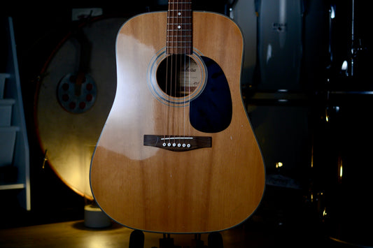 Kimbara Electro-Acoustic Guitar - 201/L - 1970's