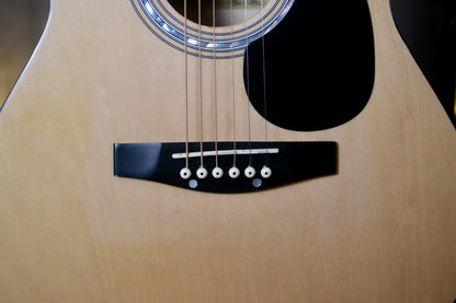 Elevation Acoustic Guitar - W-100-N-A