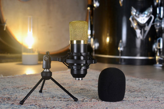 Large Diaphragm Condenser Microphone with Mini Tripod & XLR Lead